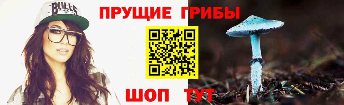 Псилоцибиновые грибы ЛСД  Галлюциногенные грибы Psilocybine cubensis  Урус-Мартан  Вход с VPN 
